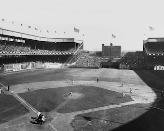 POLO GROUNDS STADIUM Glossy 8x10 or 11x14 Photo New York Giants Print Poster Photograph