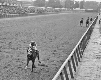 Champion Race Horse SECRETARIAT Glossy 8x10 or 11x14 Photo Belmont Stakes Print Triple Crown Poster
