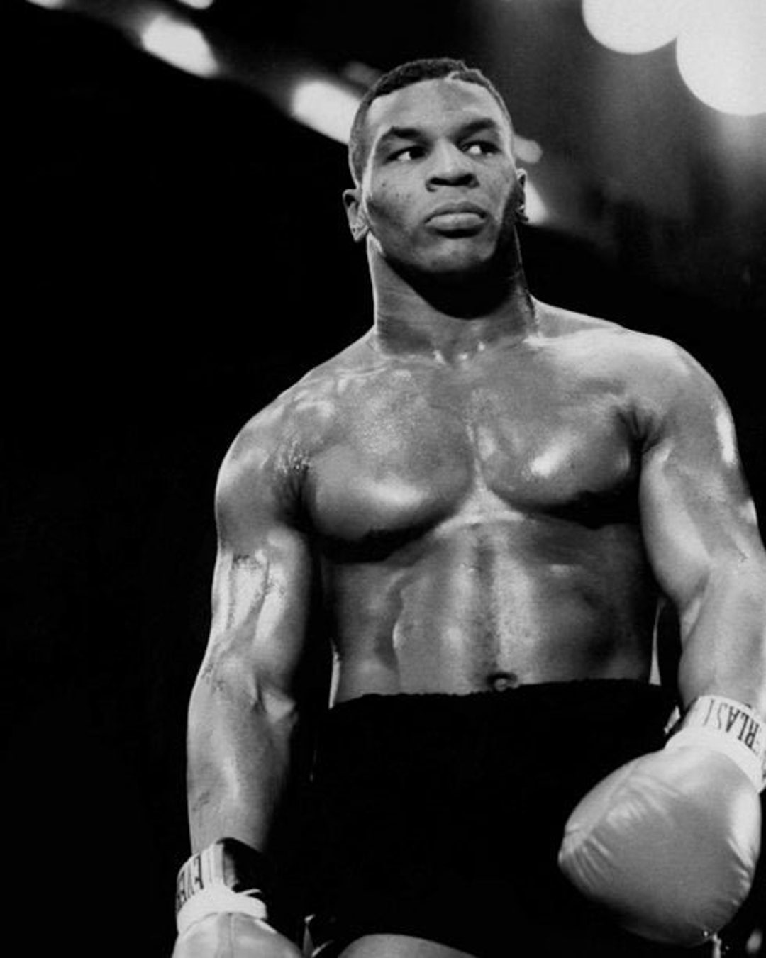 Heavyweight Champion MIKE TYSON Glossy 8x10 or 11x14 Photo Print