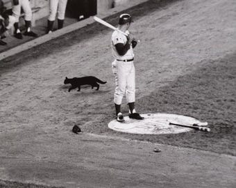 Baseball Legend RON SANTO Glossy 8x10 or 11x14 Photo Chicago Cubs Print Baseball Poster HOF 2012