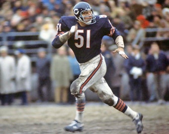 1969 Chicago Bears DICK BUTKUS Glossy 8x10 or 11x14 Photo Print Football Poster HOF 79