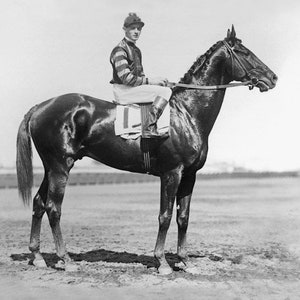 May include: A black thoroughbred racehorse with a jockey wearing a striped jersey and riding boots. The horse is standing on a dirt track.