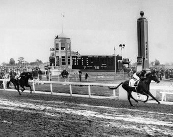 Horse Racing