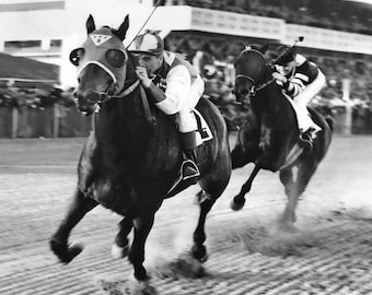 Champion Race Horses SEABISCUIT vs WAR ADMIRAL Glossy 8x10 or 11x14 Photo Pimlico Print Poster