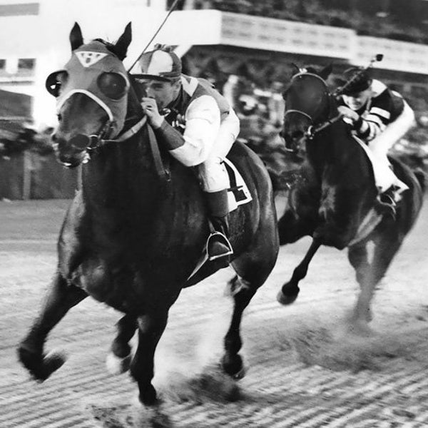 Champion Race Horses SEABISCUIT vs WAR ADMIRAL Glossy 8x10 or 11x14 Photo Pimlico Print Poster