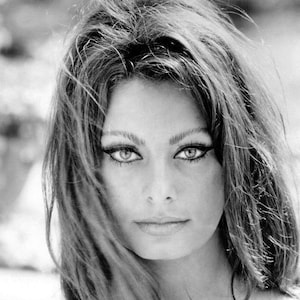 Famous Celebrity SOPHIA LOREN Glossy 8x10 or 11x14 Photo Film Actress Print Hollywood Model Poster