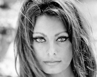 Famous Celebrity SOPHIA LOREN Glossy 8x10 or 11x14 Photo Film Actress Print Hollywood Model Poster