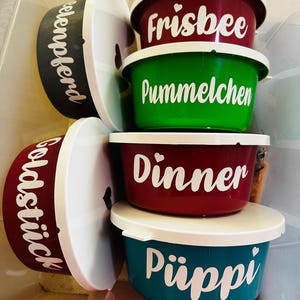Puede incluir: Una colección de cuencos coloridos para comida de mascotas con tapas blancas. Los cuencos son de varios colores, incluyendo rojo, verde y turquesa, y presentan etiquetas de texto blancas como "Frisbee" y "Dinner". Los cuencos están apilados dentro de un contenedor transparente.