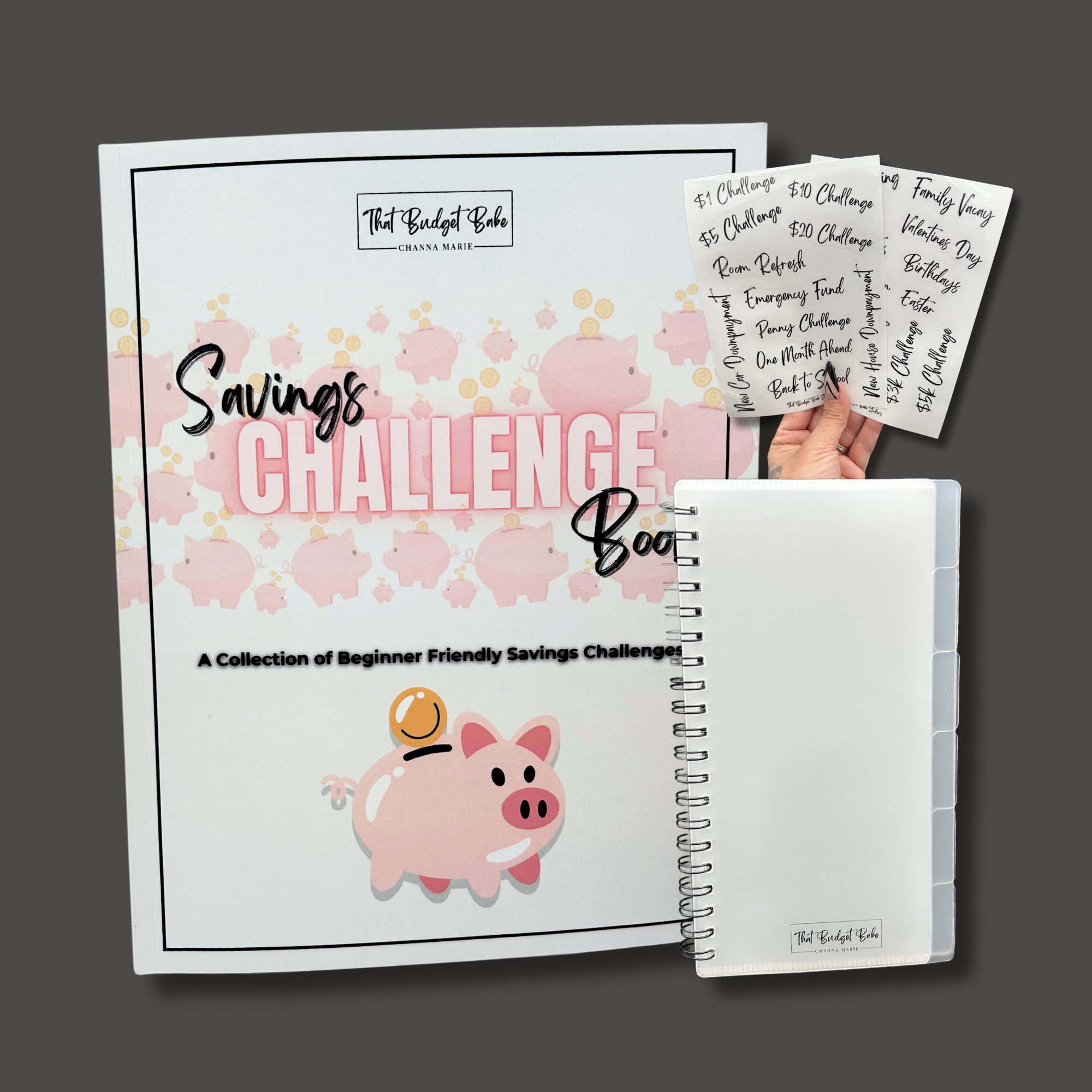 Budget Planner Coloring Book