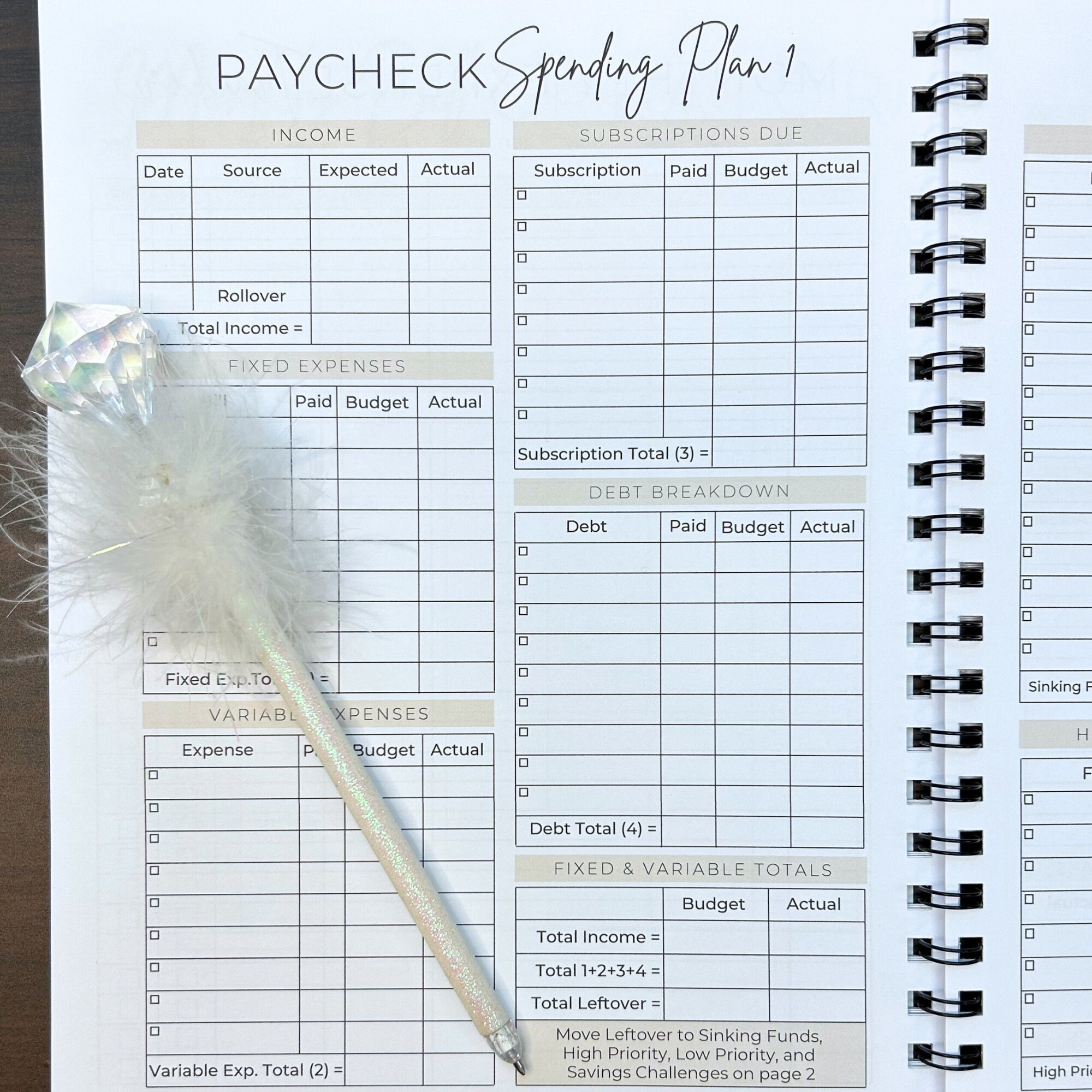 TBB Undated 12 Month Budget Planner© Budget Organizer