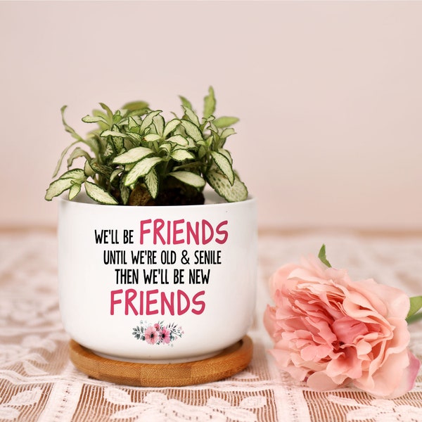 Best Friend Plant Pot Mini Planter Flower Pot Holder We Will Be Friends Until We’re Old Funny Gift for Best Friend Bestie Birthday BFF Gift