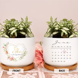 May include: Two white ceramic planters with green plants. One planter has a gold geometric heart design with text, the other has a calendar for June. Both sit on wooden saucers.