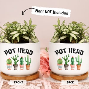 May include: White ceramic planter with the text "POT HEAD" and a watercolor illustration of cacti. The planter sits on a round wooden coaster. The image includes the text "Plant NOT Included".