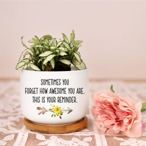 May include: A white ceramic planter with a green and white plant, sitting on a wooden coaster. The planter has the text "Sometimes you forget how awesome you are. This is your reminder." A pink flower is to the right.