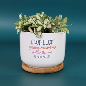 May include: A white ceramic planter with a small green and white plant. The planter has the text "GOOD LUCK finding coworkers better than us. P.S. WE'LL MISS YOU" in blue and pink. The planter sits on a round, natural wood coaster.