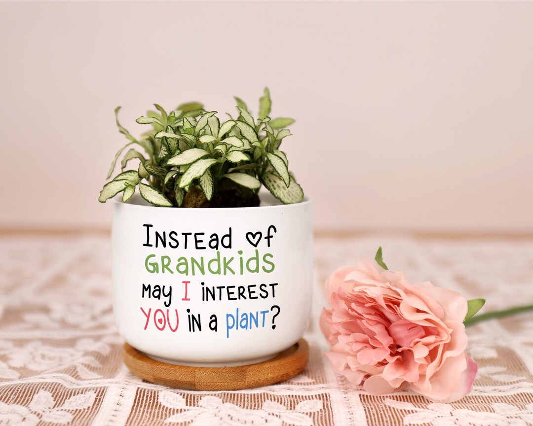 Instead of Grandkids May I Interest You in A Plant Pot, Funny Planter ...