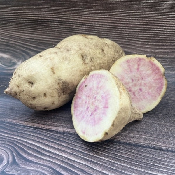 Okinawan Sweet Potato Slips Etsy