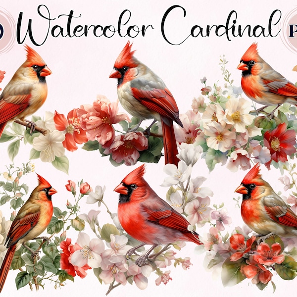 Watercolor Cardinal bird, 10 High Quality PNGs, Clipart Pack Cardinal, Commercial Use, Watercolor Red Bird, Card Making, Collage Images