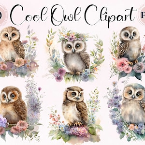 Aquarell Eule mit Blumen, 10 hochwertige PNGs, digitaler Download, digitaler Planer, süße Eule, Clipart Eule Png, Aquarell Eule mit Blumen