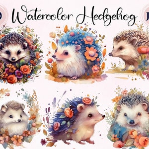 Ouriço aquarela - 10 JPGs de alta qualidade - Planejador digital, confecção de cartões, arte de parede, uso comercial - Clipart Hedgehog, Clipart Baby