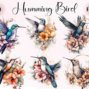 Colibrí de acuarela, 10 PNG de alta calidad, PNG de colibrí, pájaro de tatuaje, uso comercial, pájaro lindo, tatuaje de imágenes prediseñadas, pájaro con flores