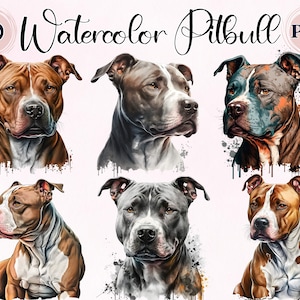 Pit bull Dog, 10 High Quality PNGs, Clipart Dogs, Beautiful Dogs, American Pit Bull, Commercial Use, Digital Download, watercolor Clipart,