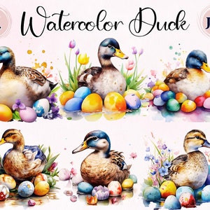 cute duck with coloring eggs, 11 high quality images, clipart, digital download, digital planner, wedding cover, card making, commercial use