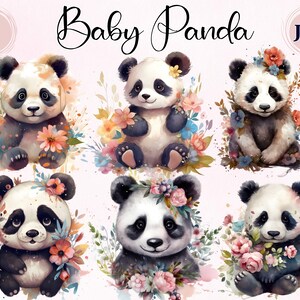 aquarela bebê panda, 9 imagens de clipart altas, download digital, criação de cartões, panda fofo, planejador digital, panda aquarela, panda clipart