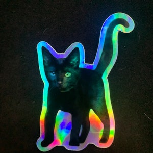 Dorky Black Cat Holographic Sticker