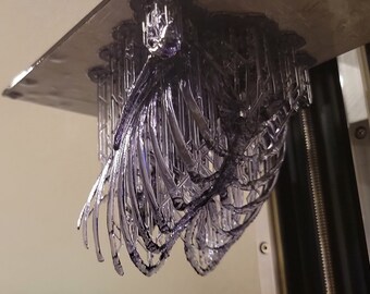 Haller Edition: Custom thoracic skeleton on a solid base using your CT scan