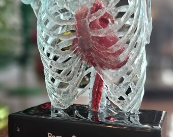 Ravitch Edition: Your heart and lungs modeled within a translucent skeleton!