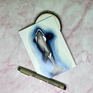 Ansichtkaart A6 aquarel Orca / Killerwhale | Kunstdruk |