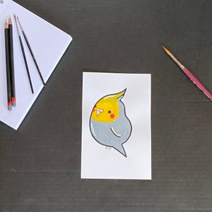 May include: A hand-drawn illustration of a gray and yellow cockatiel bird with red cheeks. The bird is facing to the right and has a yellow crest on its head. The illustration is on a white background.