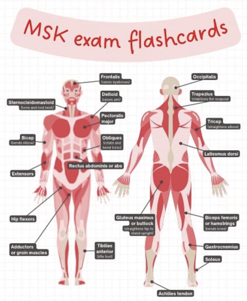 MSK Musculoskeletal Exam Flashcards (spinal, Foot, Ankle, Wrist, Hand ...