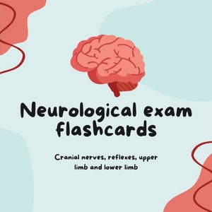Neurologische Untersuchung Lernkarten