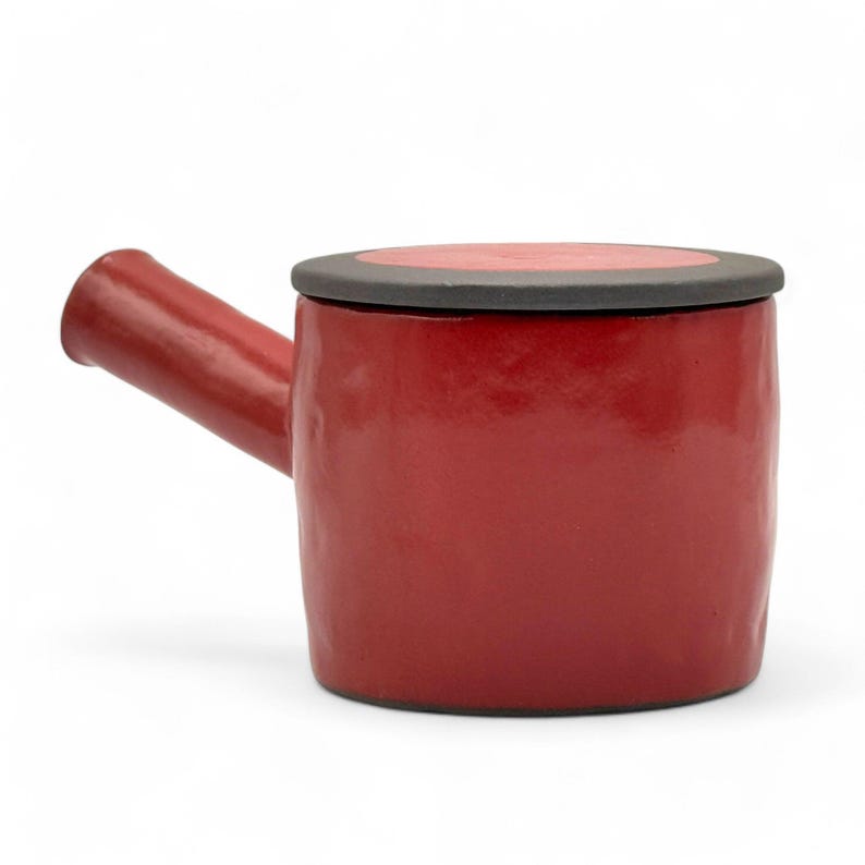 Isshin Clay Tokoname-yaki Kyusu Teapot