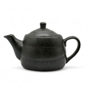 Japanese Kuro Kessho Black Tokoname-yaki Kyusu 常滑焼 - Japanese Teapot
