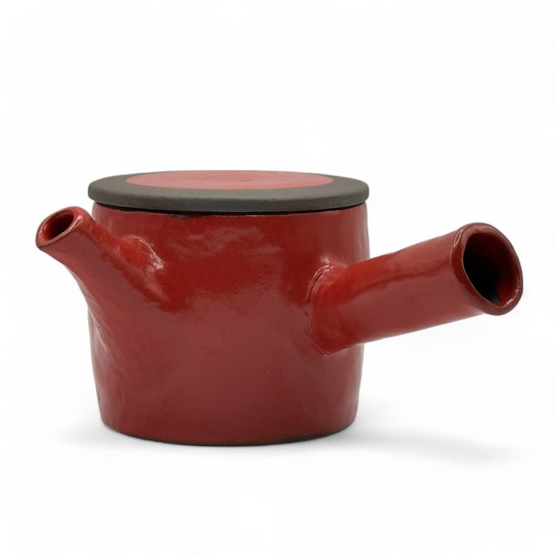 Isshin Clay Tokoname-yaki Kyusu Teapot - Thumbnail 2