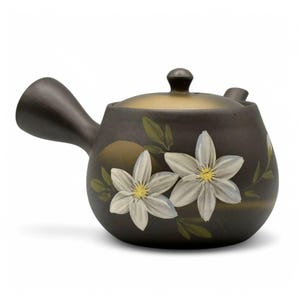 Kaiga Hana Black Tokoname-yaki Kyusu 常滑焼 - Japanese Teapot