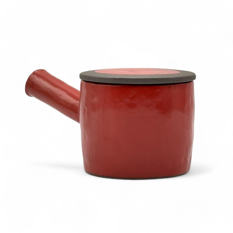 Isshin Clay Tokoname-yaki Kyusu Teapot - Thumbnail 5