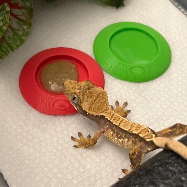 Hatchling bowls/ gecko dishes/ crested gecko feeding/ baby gecko dishes