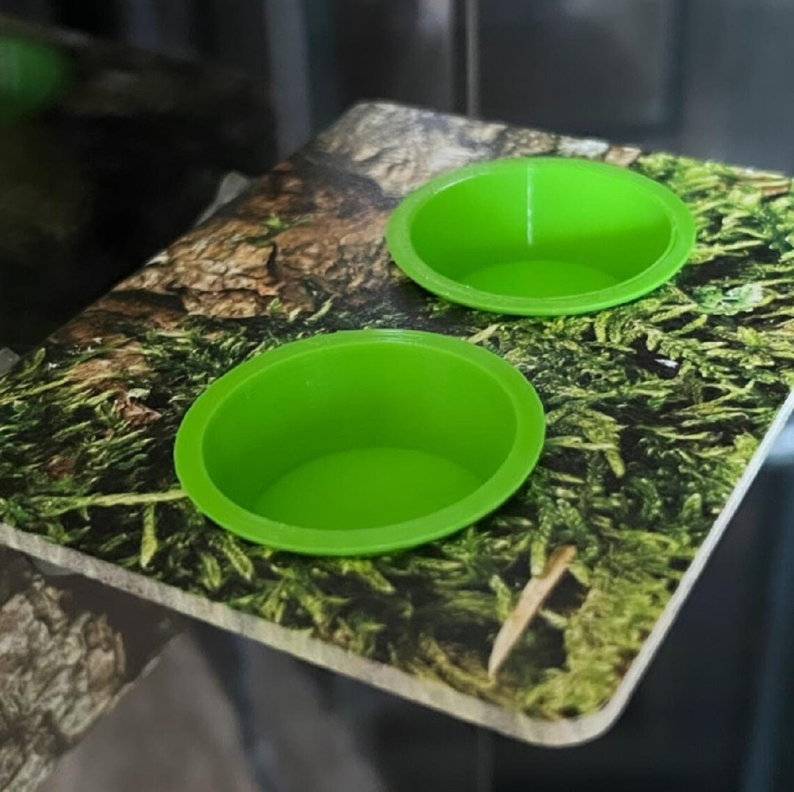 Half Ounce Crested Gecko/gecko Food Cup Etsy