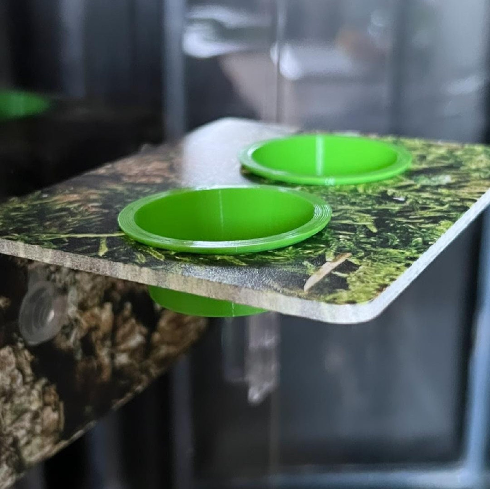 Half Ounce Crested Gecko/gecko Food Cup Etsy