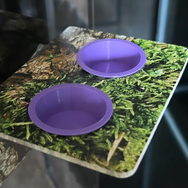 Half Ounce Crested Gecko/gecko Food Cup Etsy