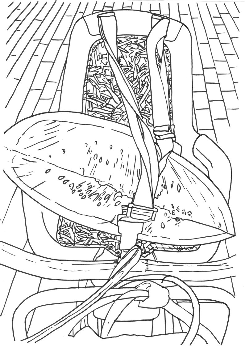 Coloring book for adults and children image 3