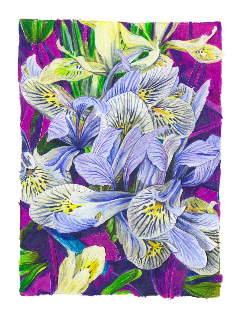 Art print irisses 40x30 part of the Flower Series 2 Iris Gicléeprint on Photo Rag paper image 2