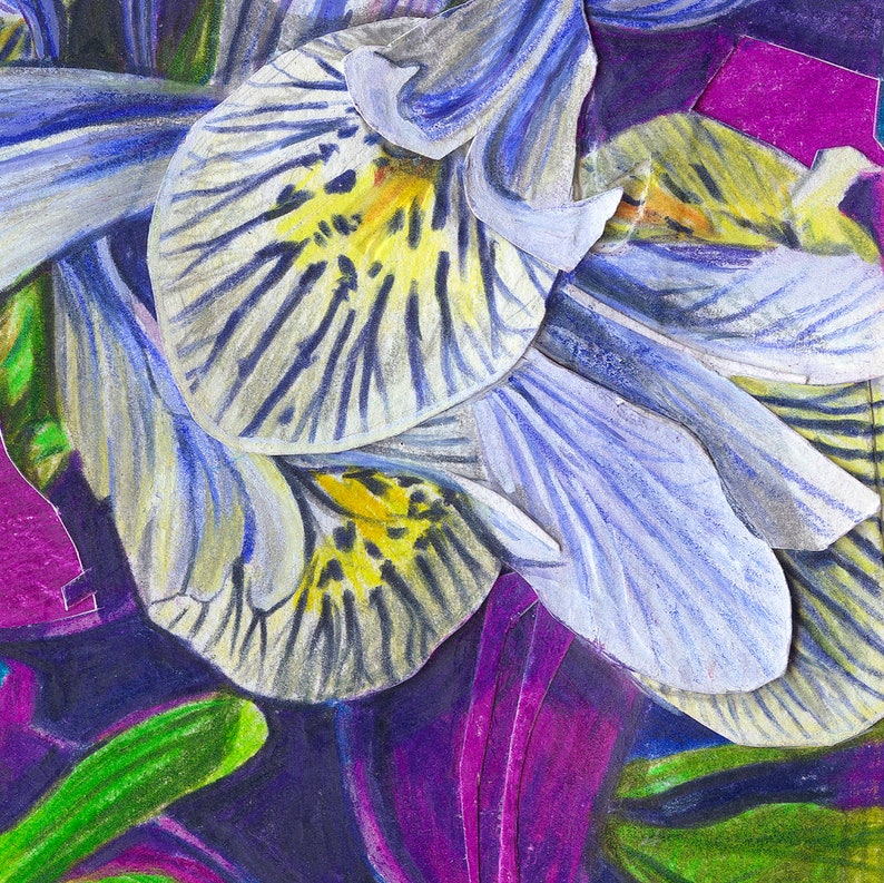 Art print irisses 40x30 part of the Flower Series 2 Iris Gicléeprint on Photo Rag paper image 3