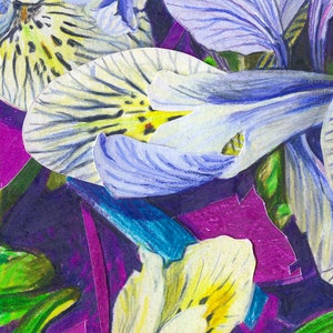 Art print irisses 40x30 part of the Flower Series 2 Iris Gicléeprint on Photo Rag paper image 4