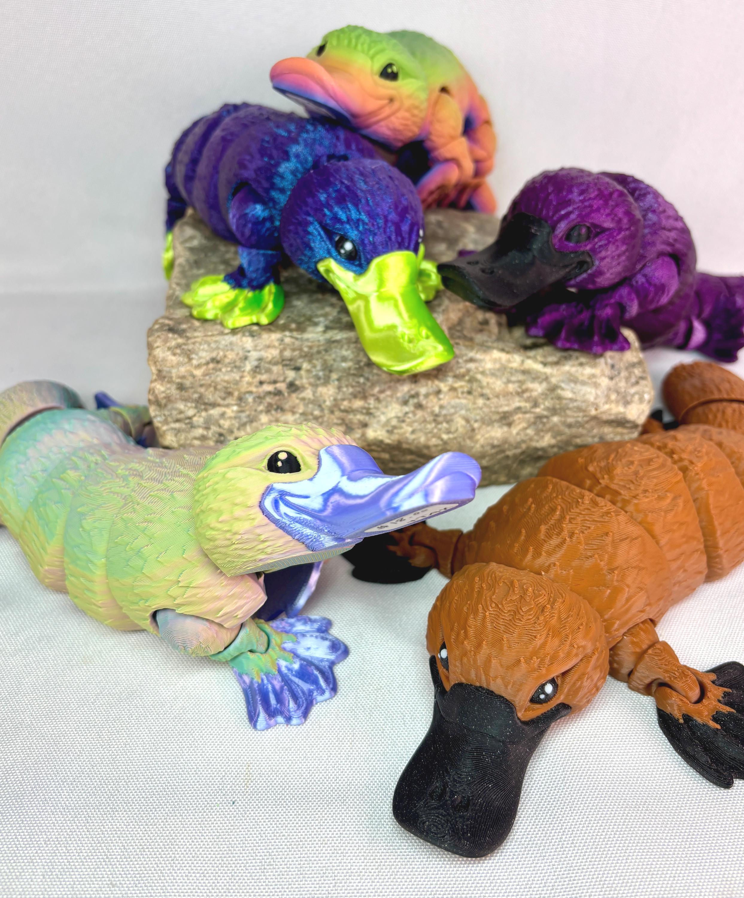 3D Articulated Platypus | Desk & Fidget Toys - Etsy