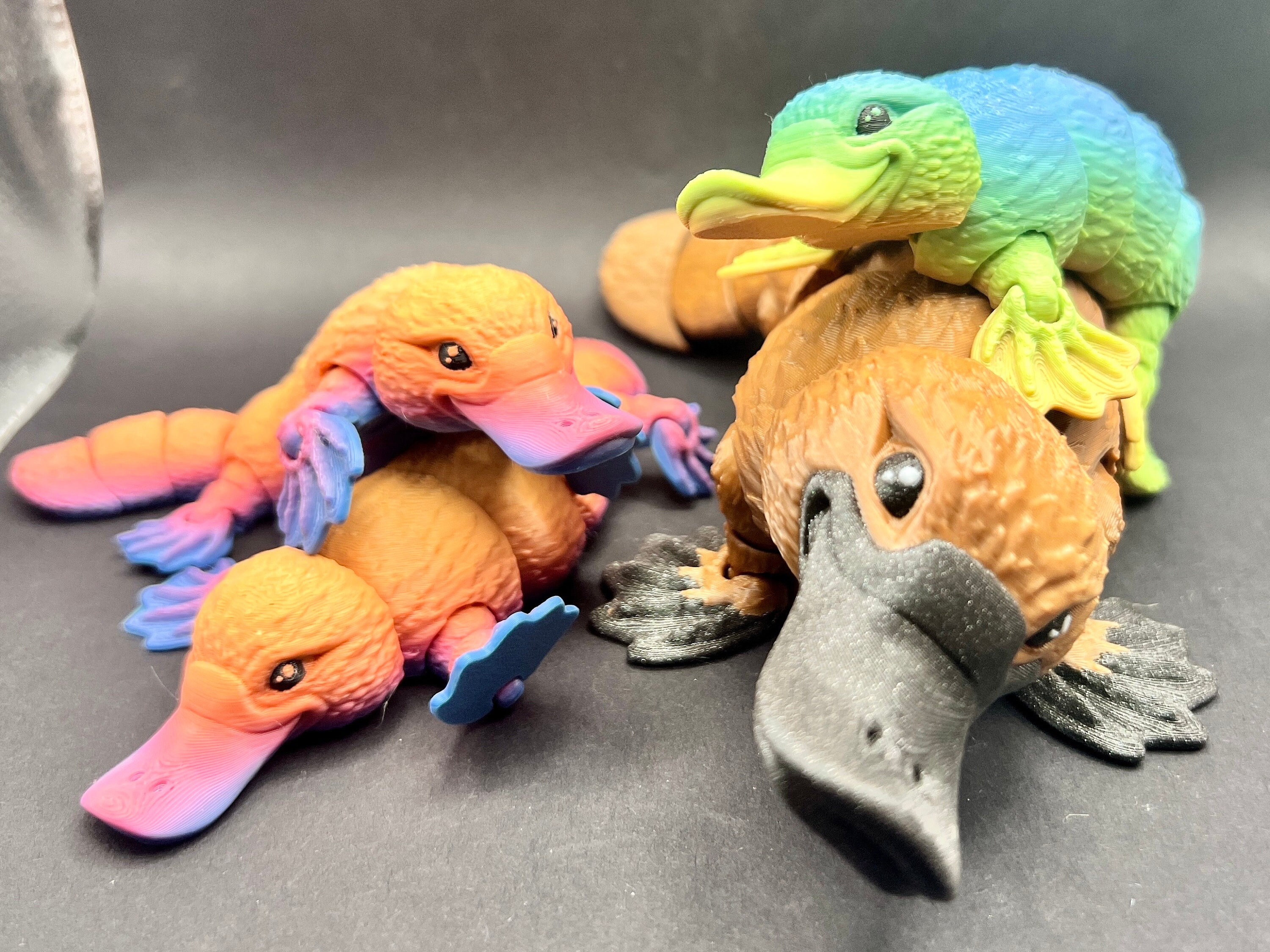 3D Articulated Platypus | Desk & Fidget Toys - Etsy
